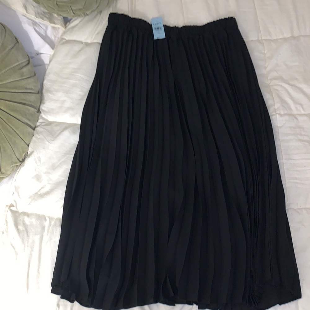 Petite Pull On Pleated Skirt NWT